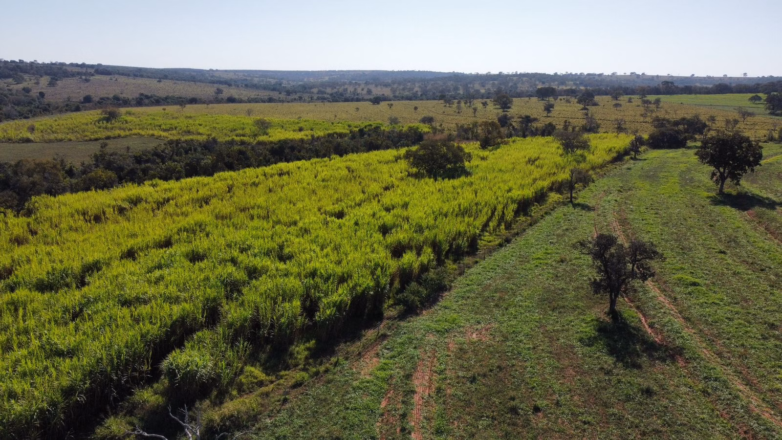 Fazenda de 380 ha em Aparecida do Taboado, MS