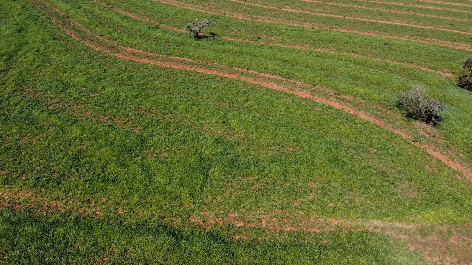 Fazenda de 380 ha em Aparecida do Taboado, MS