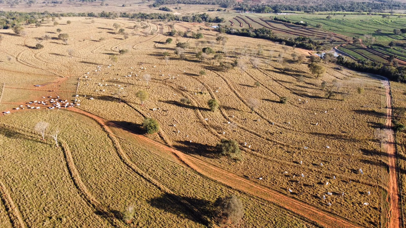 Fazenda de 380 ha em Aparecida do Taboado, MS