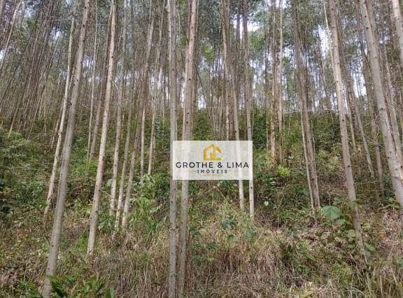 Terreno de 11 ha em Paraibuna, SP
