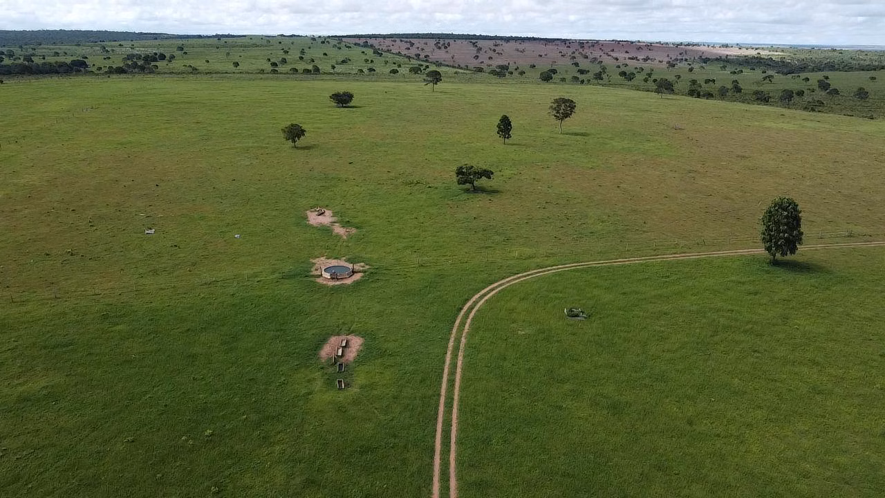 Fazenda de 340 ha em Rondonópolis, MT