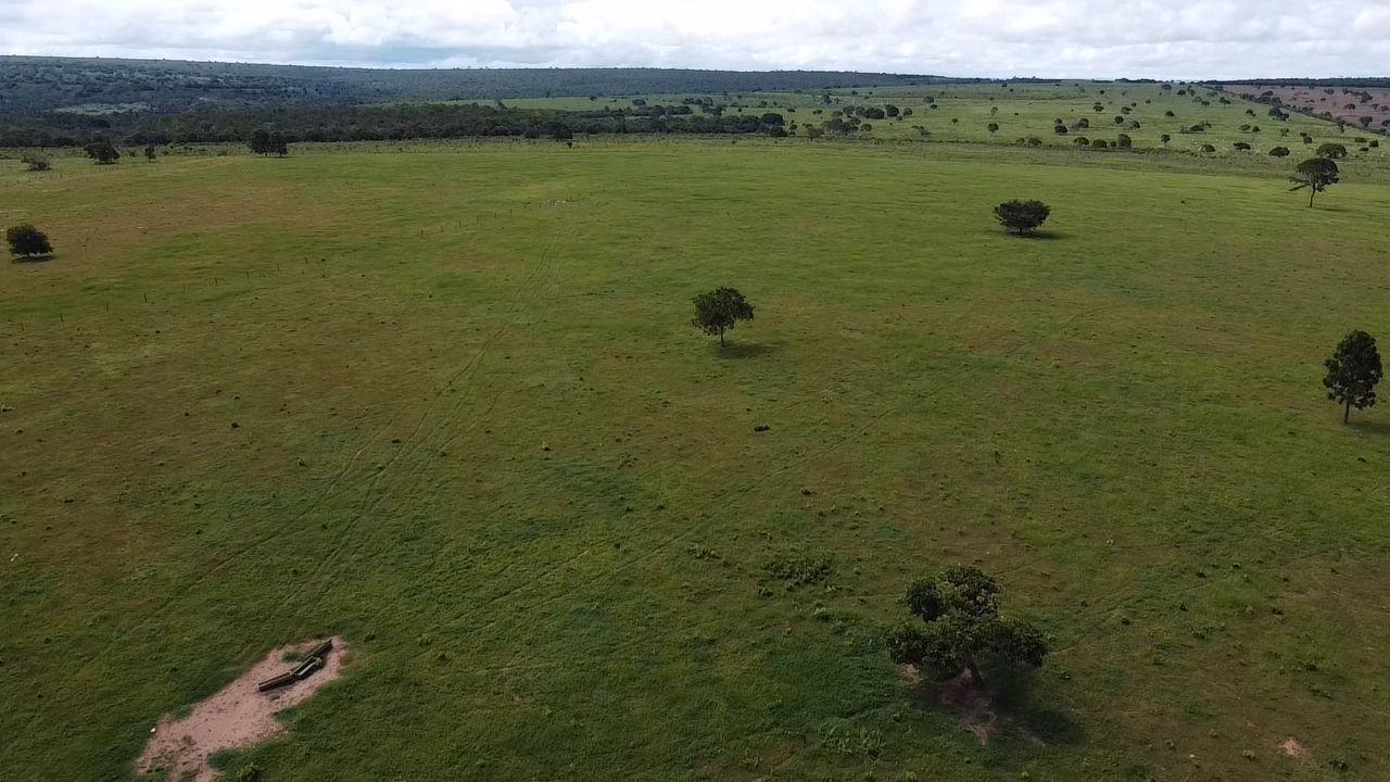 Fazenda de 340 ha em Rondonópolis, MT