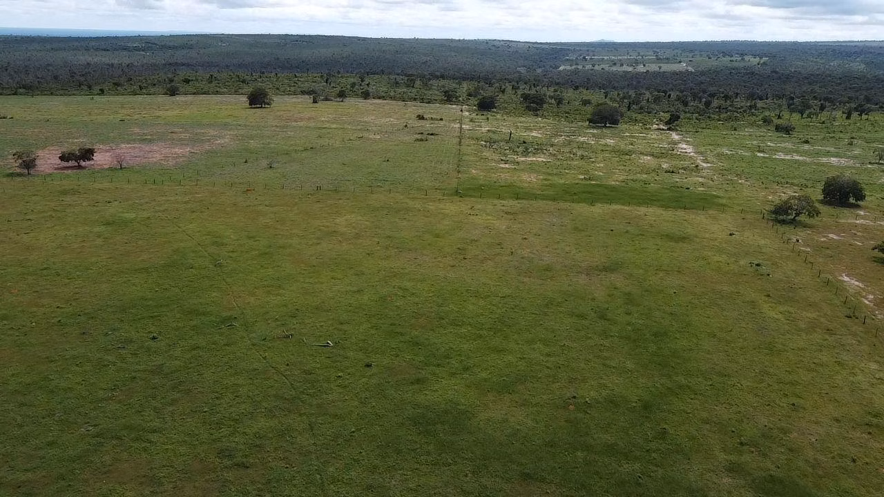Fazenda de 340 ha em Rondonópolis, MT