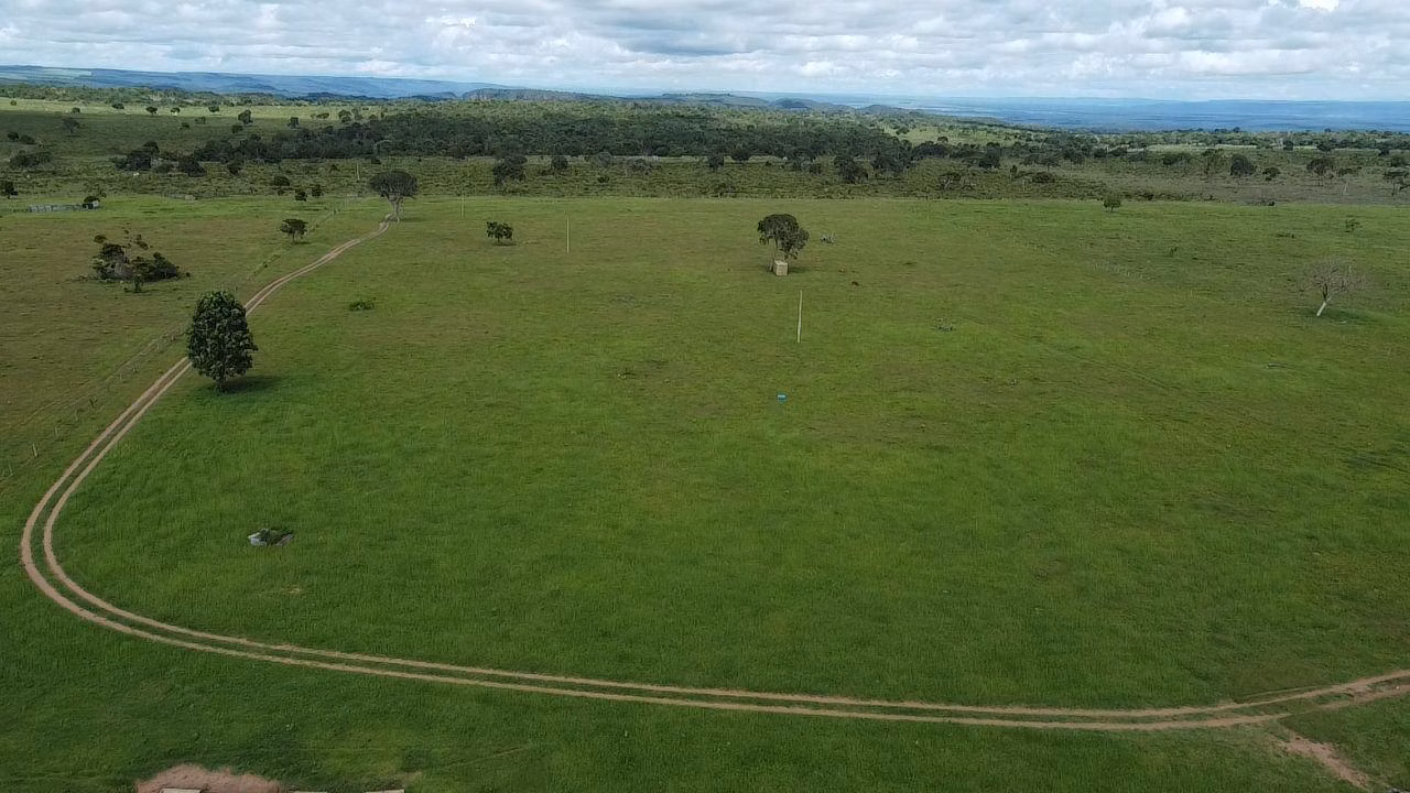 Fazenda de 340 ha em Rondonópolis, MT