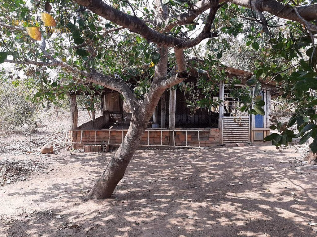 Sítio de 22 ha em Cuiabá, MT