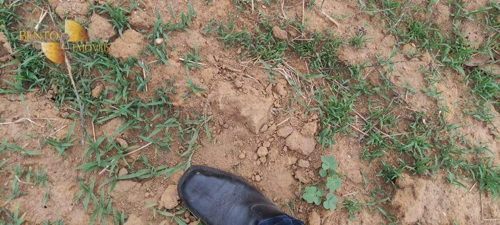 Fazenda de 809 ha em Nobres, MT