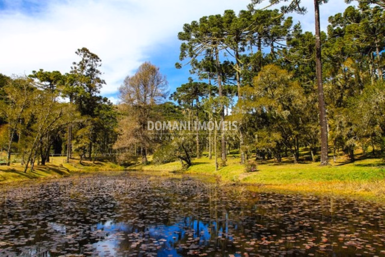 Terreno de 2.800 m² em Campos do Jordão, SP