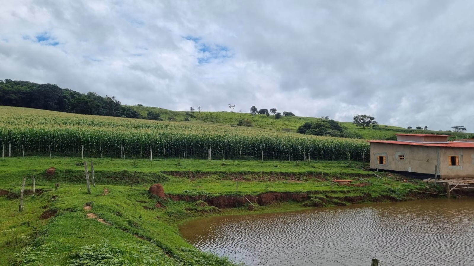 Fazenda de 184 ha em Angatuba, SP