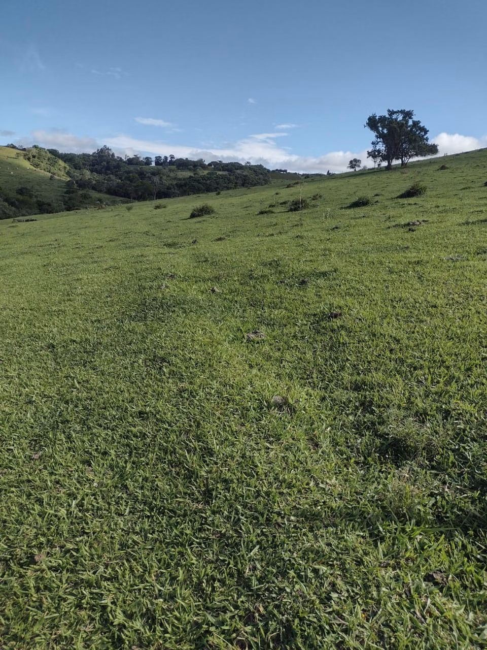 Fazenda de 184 ha em Angatuba, SP