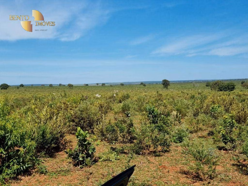 Fazenda de 2.349 ha em Ribas do Rio Pardo, MS