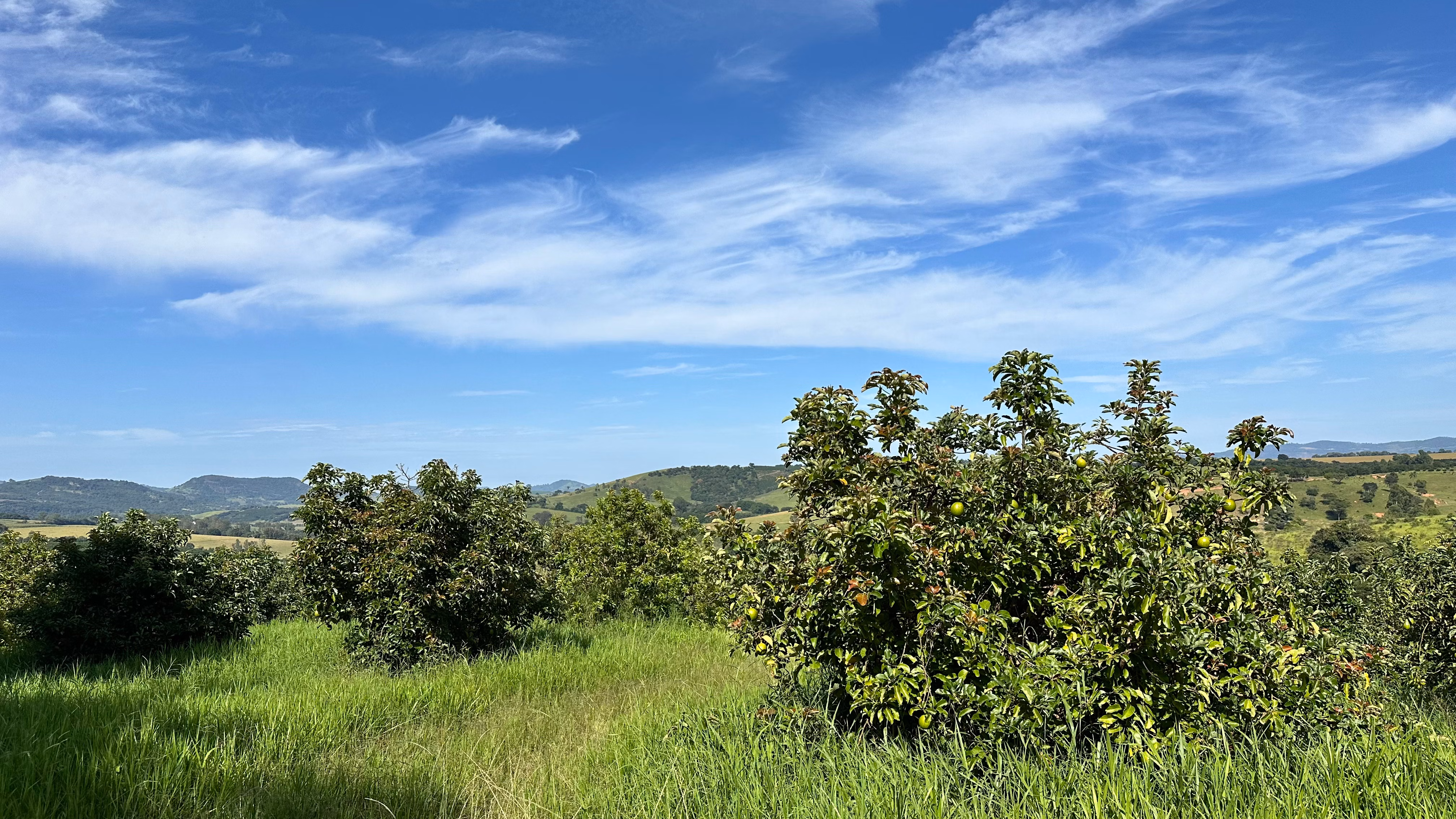 Farm of 334 acres in Campanha, MG, Brazil