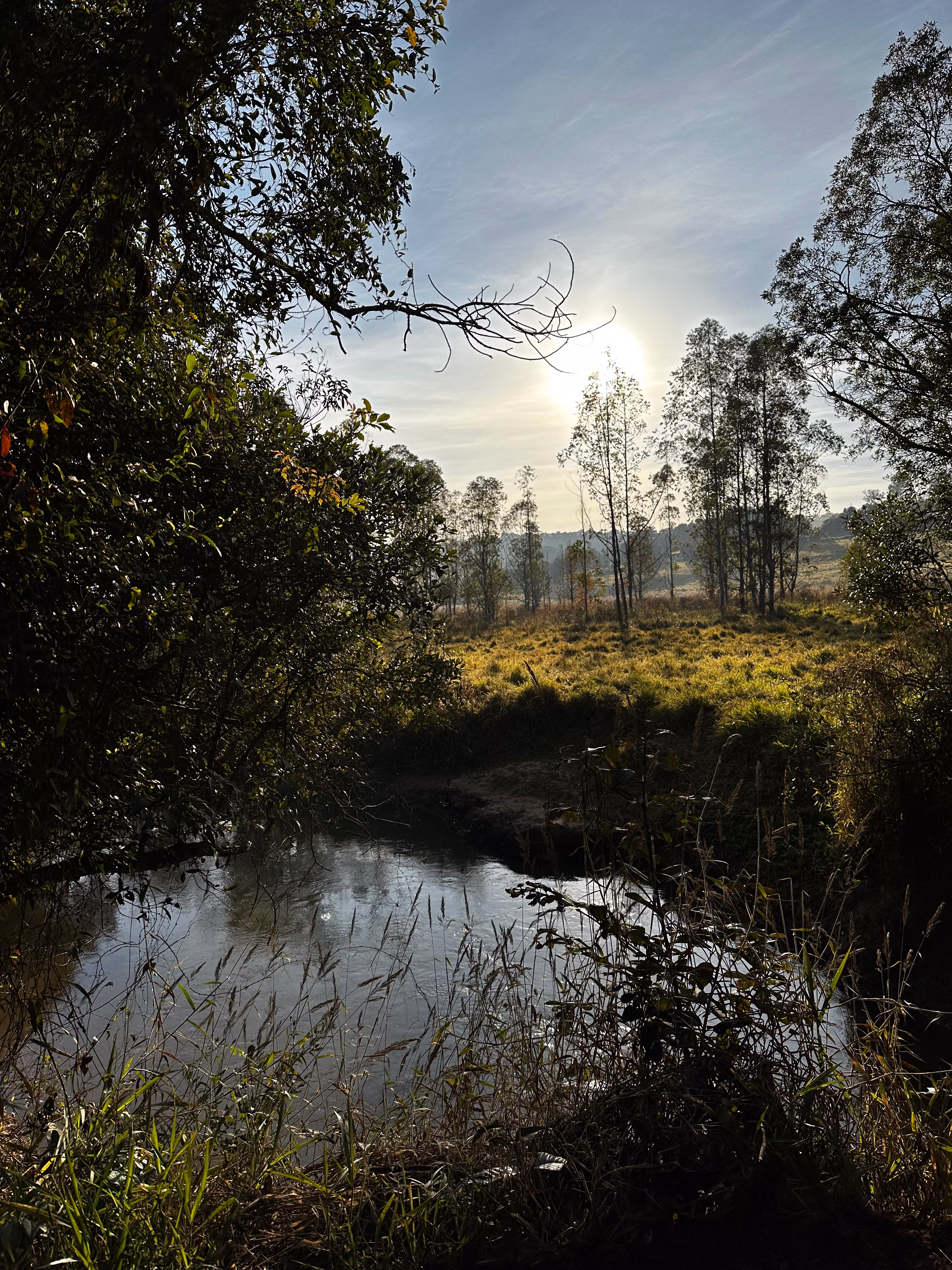 Farm of 334 acres in Campanha, MG, Brazil