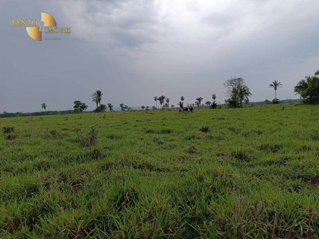 Fazenda de 400 ha em Santo Antônio de Leverger, MT