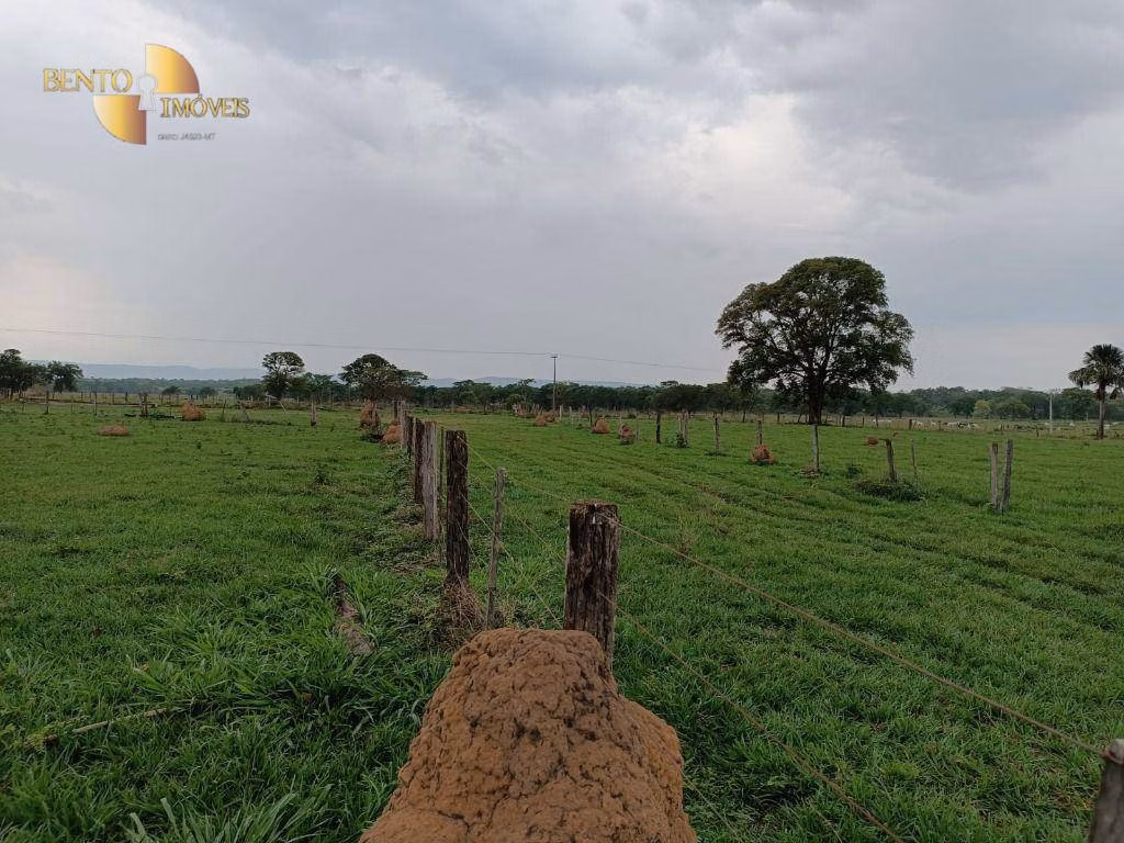 Fazenda de 400 ha em Santo Antônio de Leverger, MT