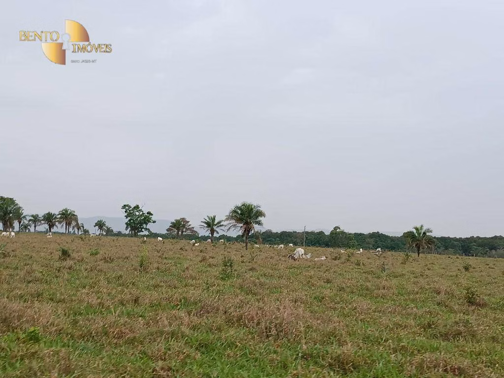 Farm of 988 acres in Santo Antônio de Leverger, MT, Brazil