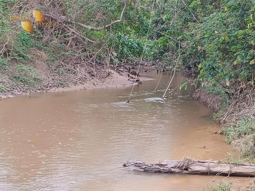 Fazenda de 400 ha em Santo Antônio de Leverger, MT