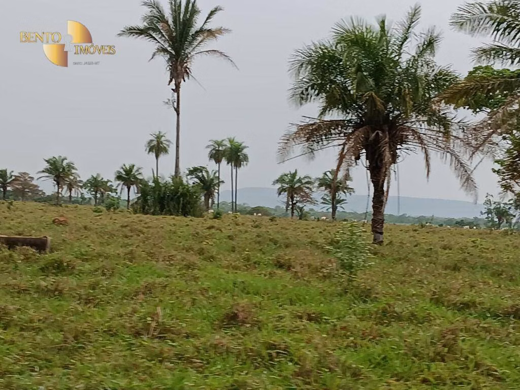 Fazenda de 400 ha em Santo Antônio de Leverger, MT