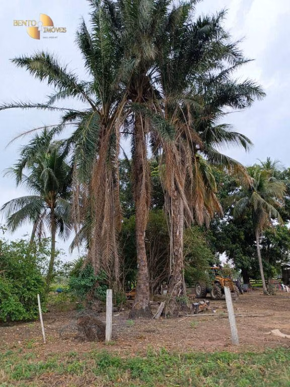 Fazenda de 400 ha em Santo Antônio de Leverger, MT