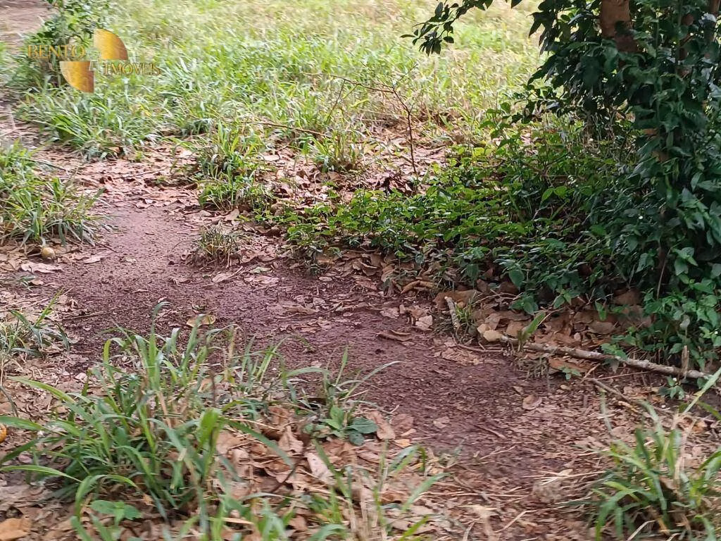 Fazenda de 400 ha em Santo Antônio de Leverger, MT