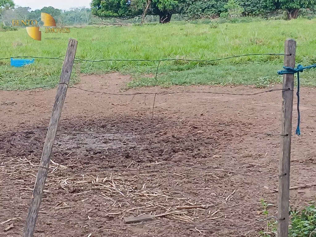 Farm of 988 acres in Santo Antônio de Leverger, MT, Brazil