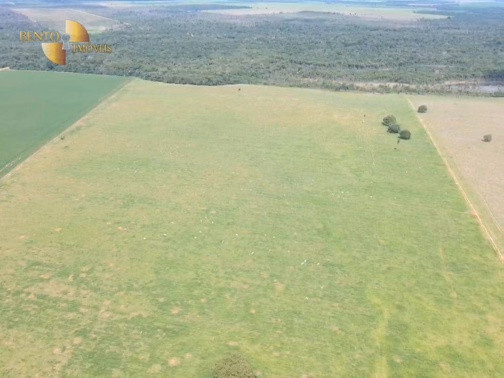 Fazenda de 654 ha em Gaúcha do Norte, MT