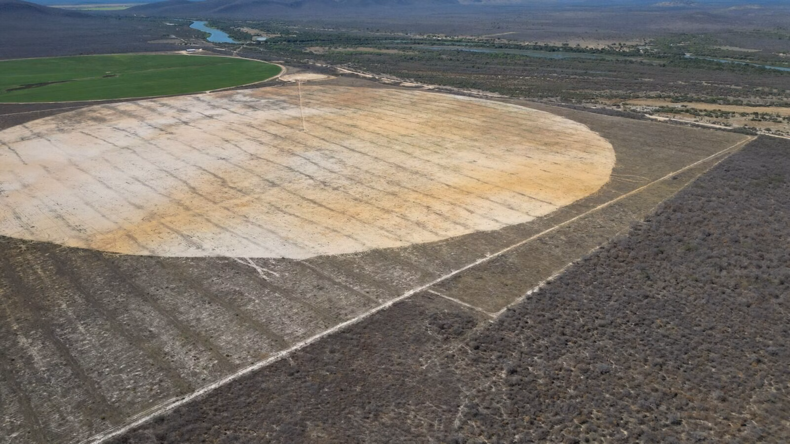 Fazenda de 1.020 ha em Barra, BA