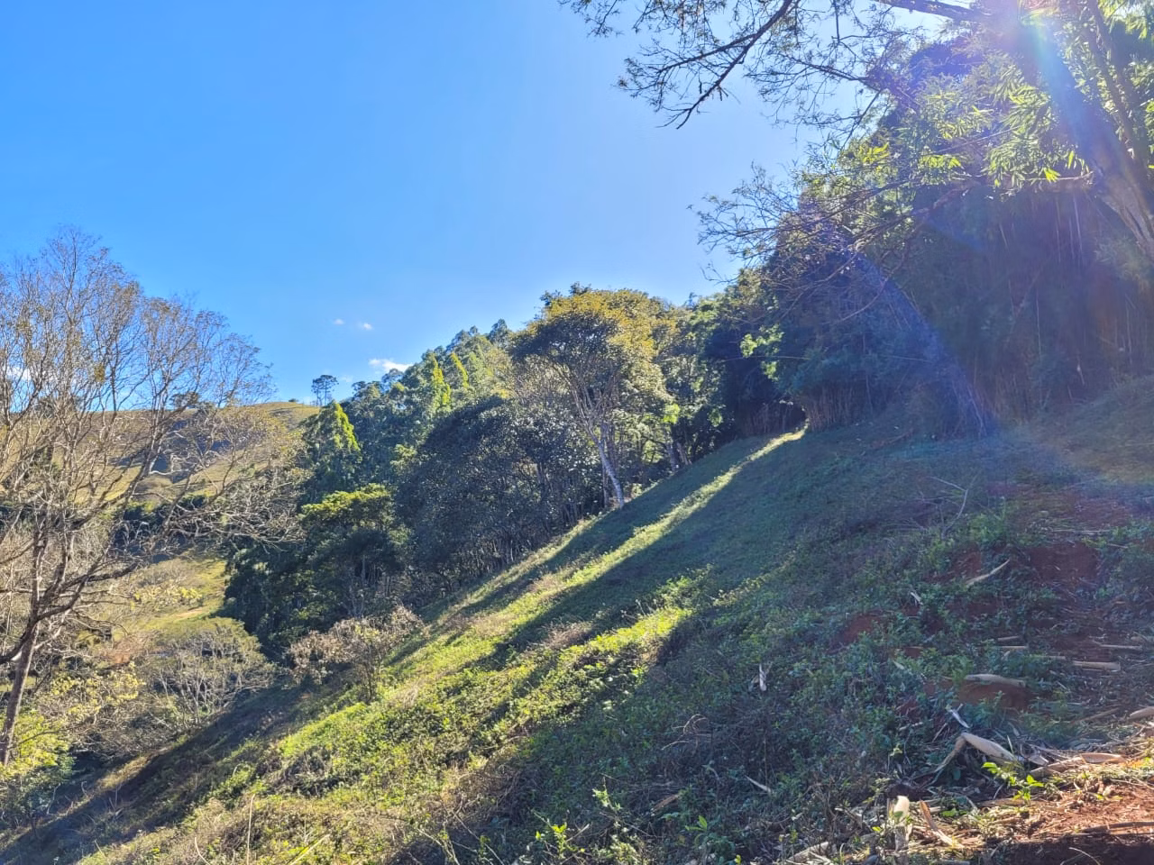 Terreno de 2 ha em Santo Antônio do Pinhal, SP