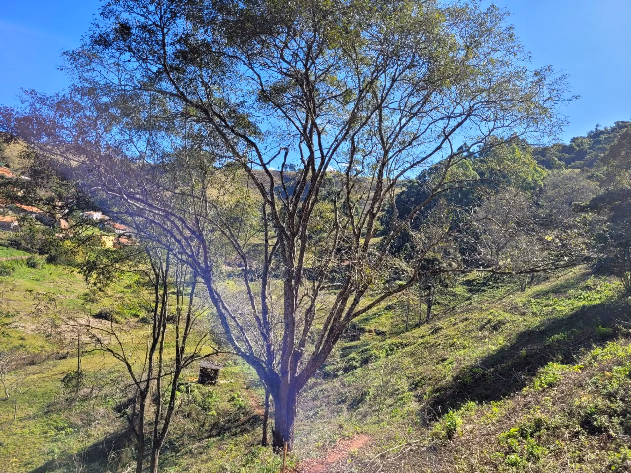 Terreno de 2 ha em Santo Antônio do Pinhal, SP