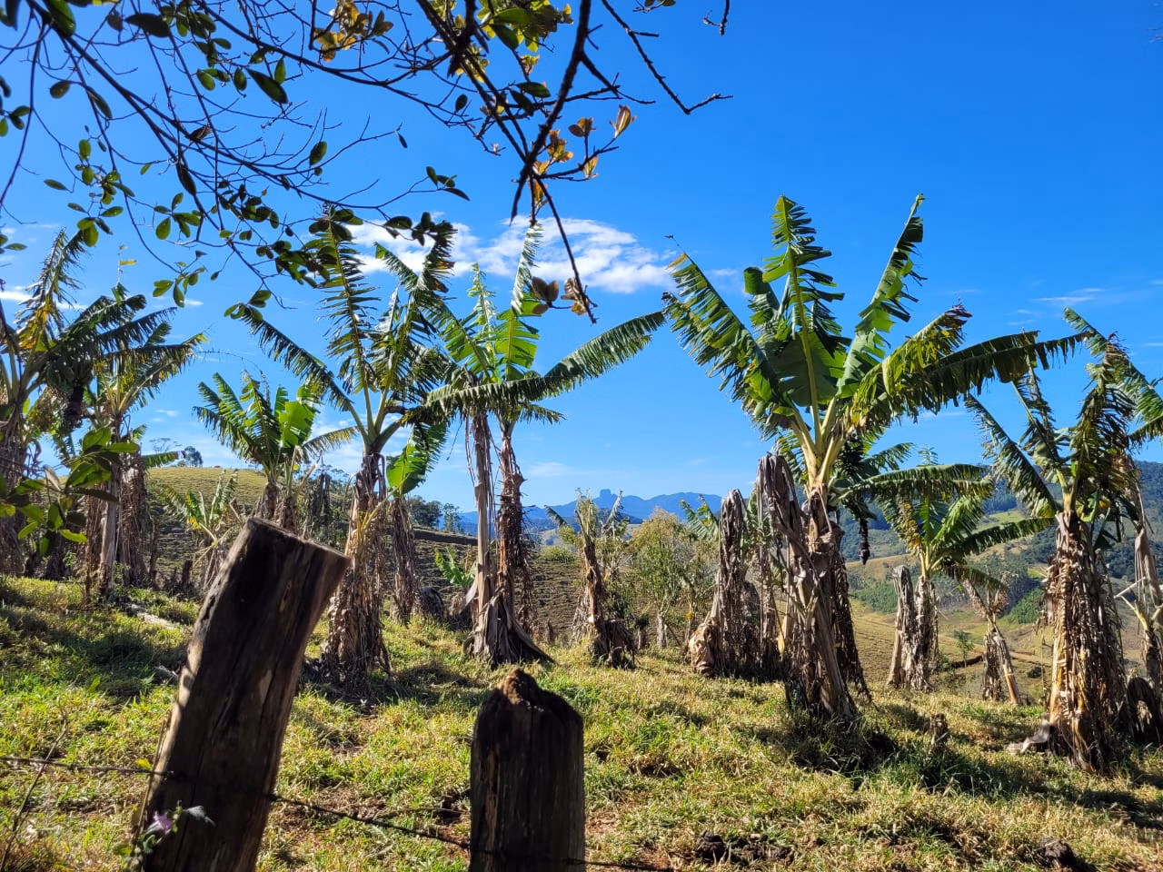 Terreno de 2 ha em Santo Antônio do Pinhal, SP