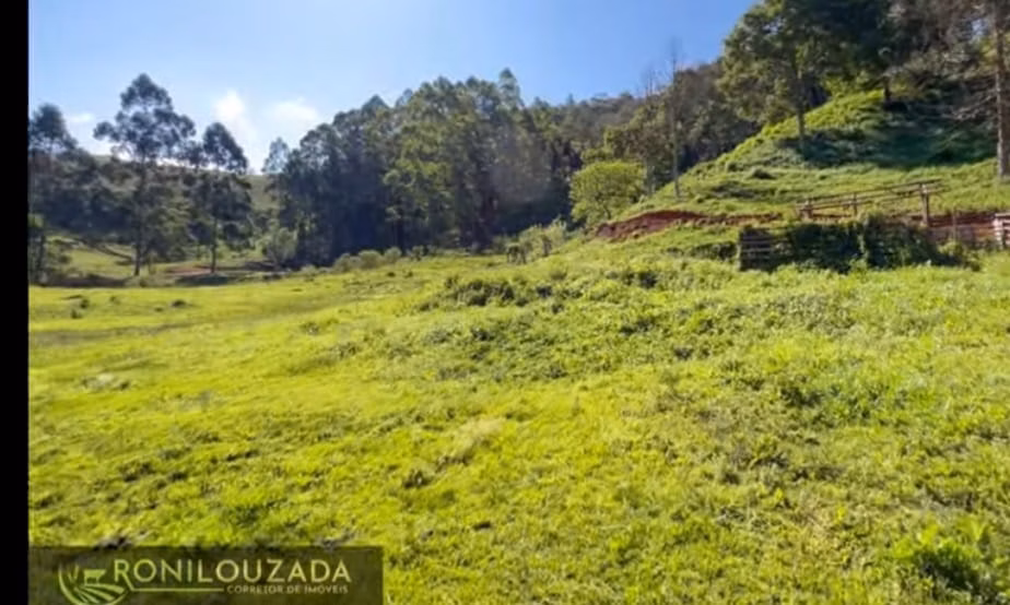 Terreno de 2 ha em Santo Antônio do Pinhal, SP
