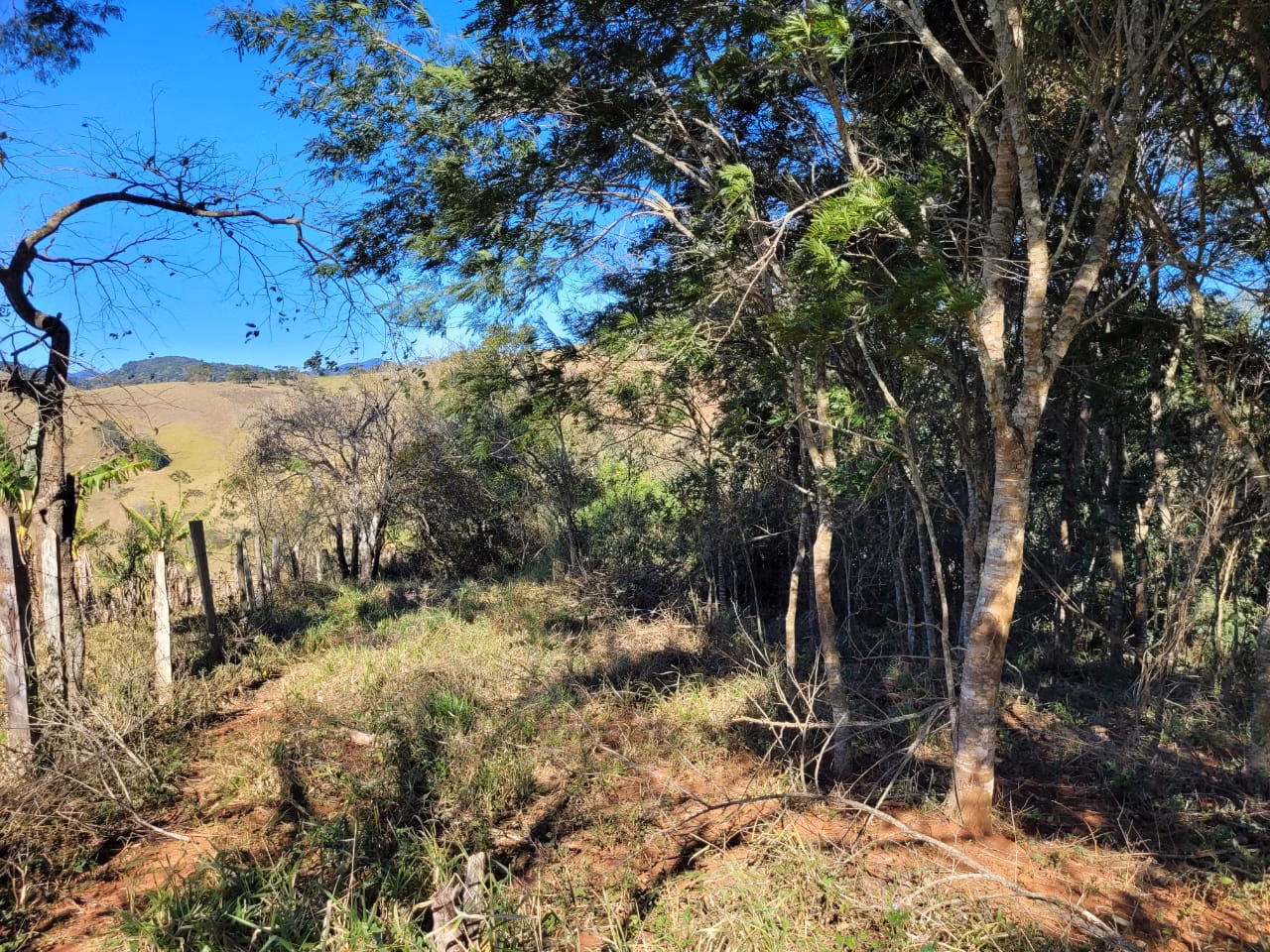 Terreno de 2 ha em Santo Antônio do Pinhal, SP