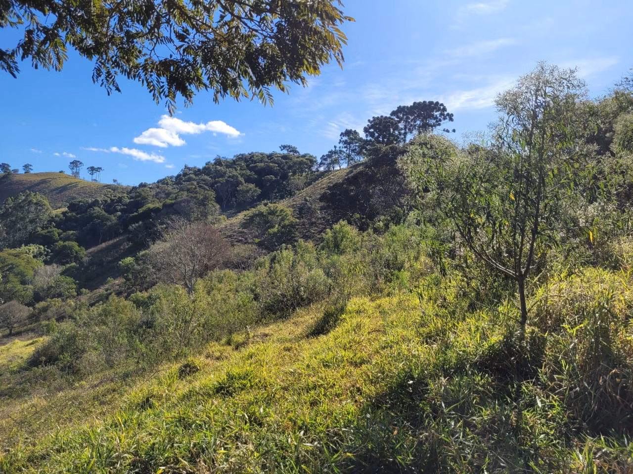 Terreno de 2 ha em Santo Antônio do Pinhal, SP