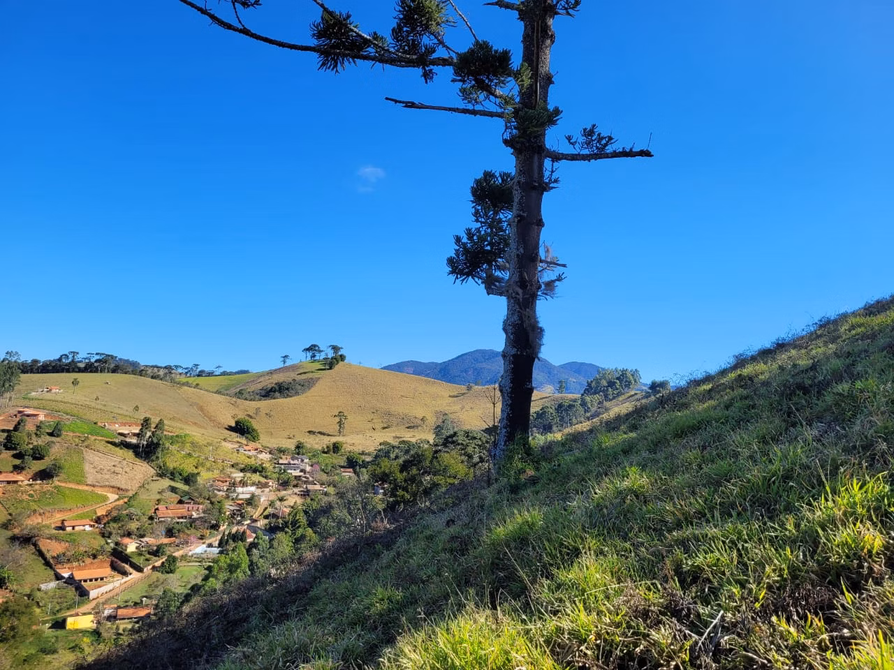 Terreno de 2 ha em Santo Antônio do Pinhal, SP