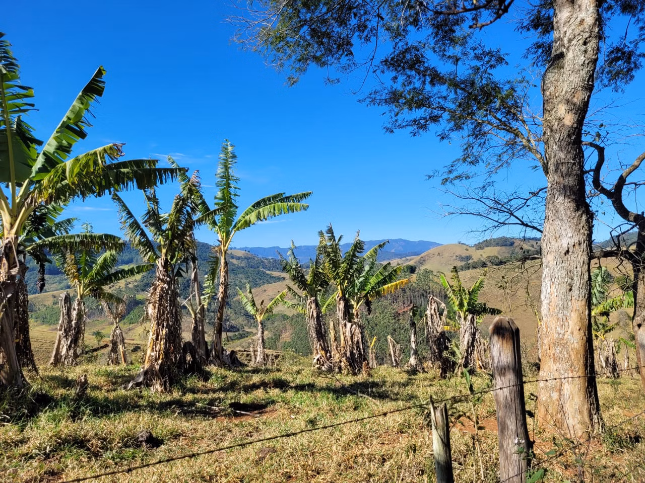 Terreno de 2 ha em Santo Antônio do Pinhal, SP