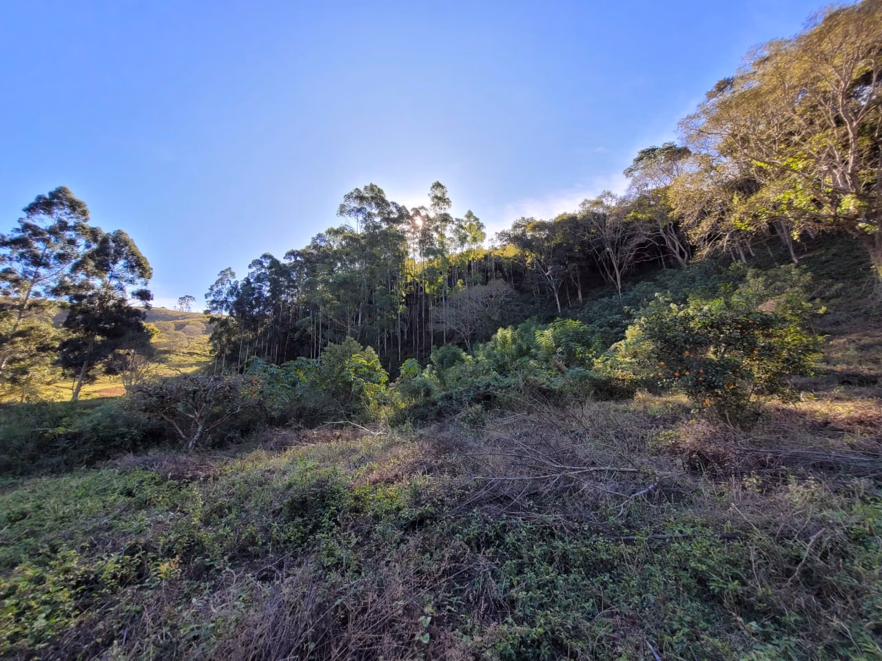 Terreno de 2 ha em Santo Antônio do Pinhal, SP