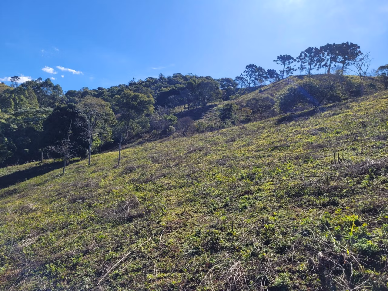 Terreno de 2 ha em Santo Antônio do Pinhal, SP