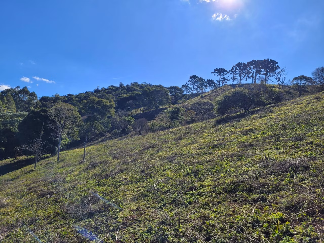 Terreno de 2 ha em Santo Antônio do Pinhal, SP