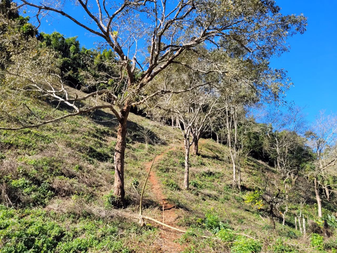 Terreno de 2 ha em Santo Antônio do Pinhal, SP