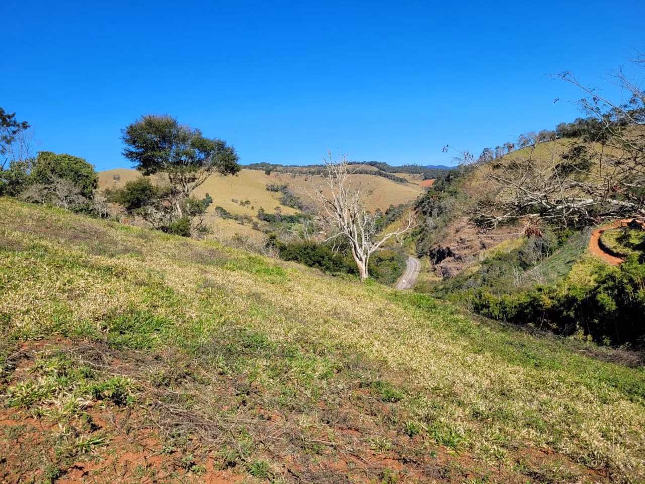 Terreno de 2 ha em Santo Antônio do Pinhal, SP