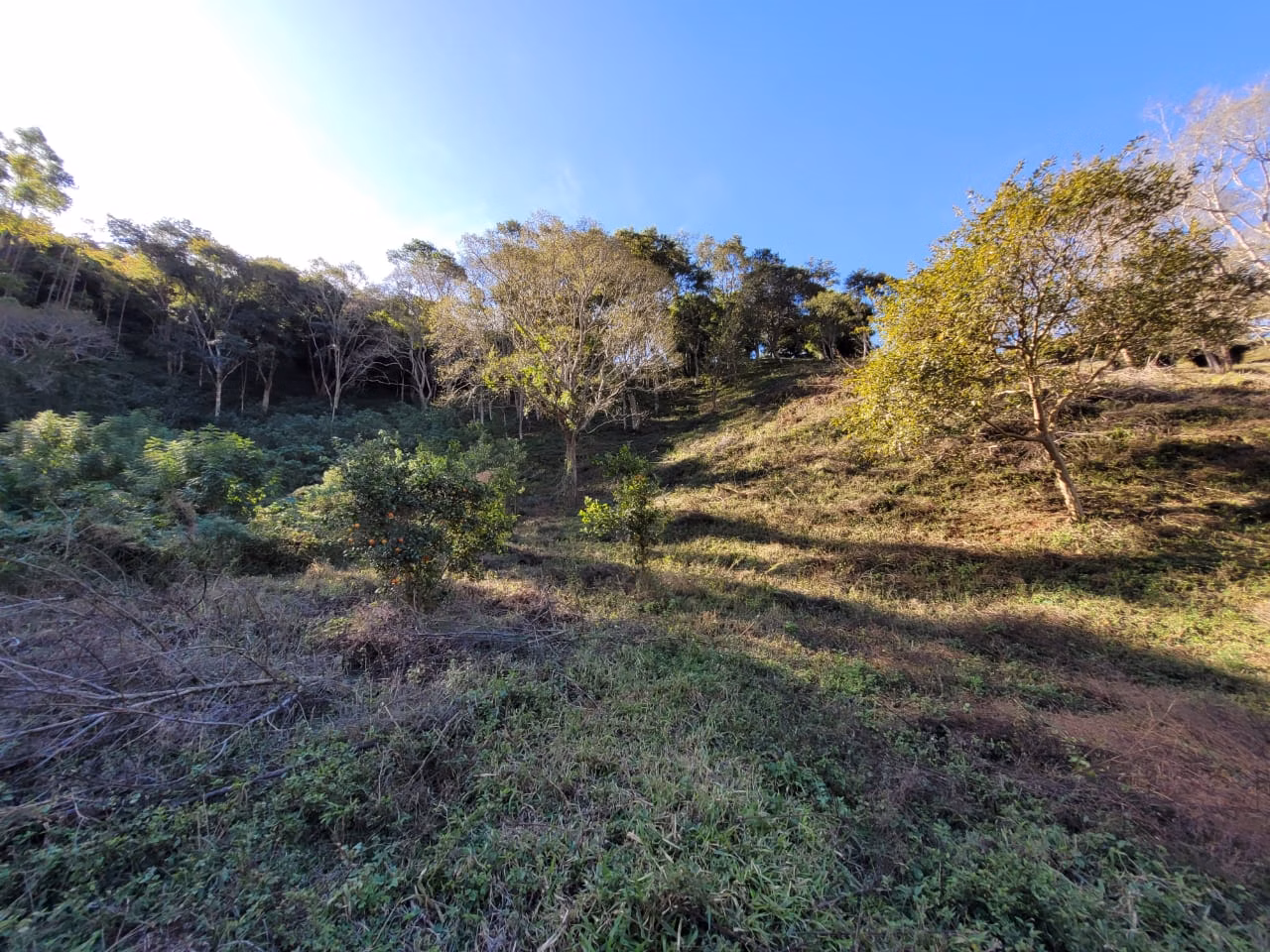 Terreno de 2 ha em Santo Antônio do Pinhal, SP