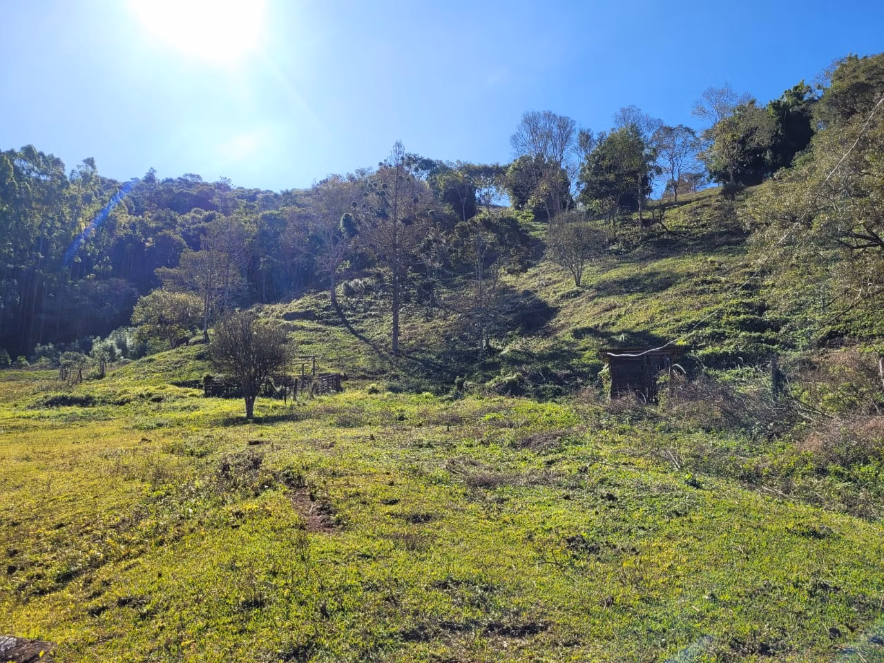 Terreno de 2 ha em Santo Antônio do Pinhal, SP