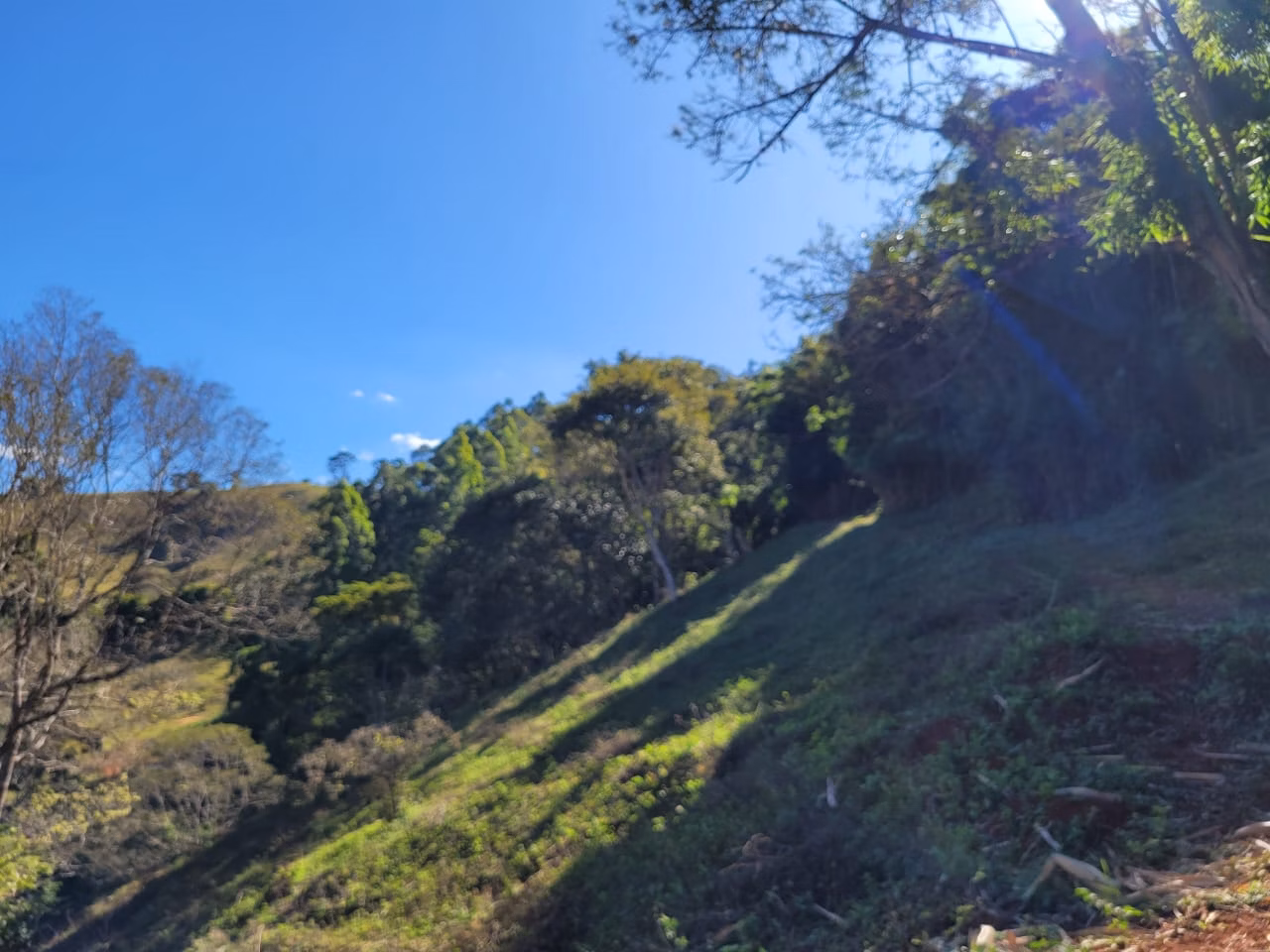 Terreno de 2 ha em Santo Antônio do Pinhal, SP