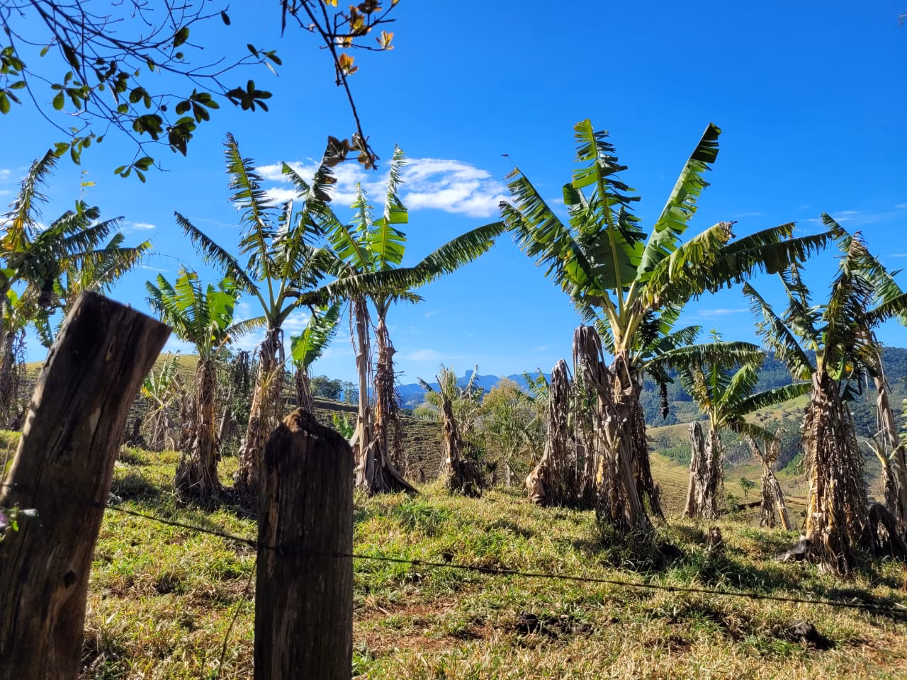 Terreno de 2 ha em Santo Antônio do Pinhal, SP