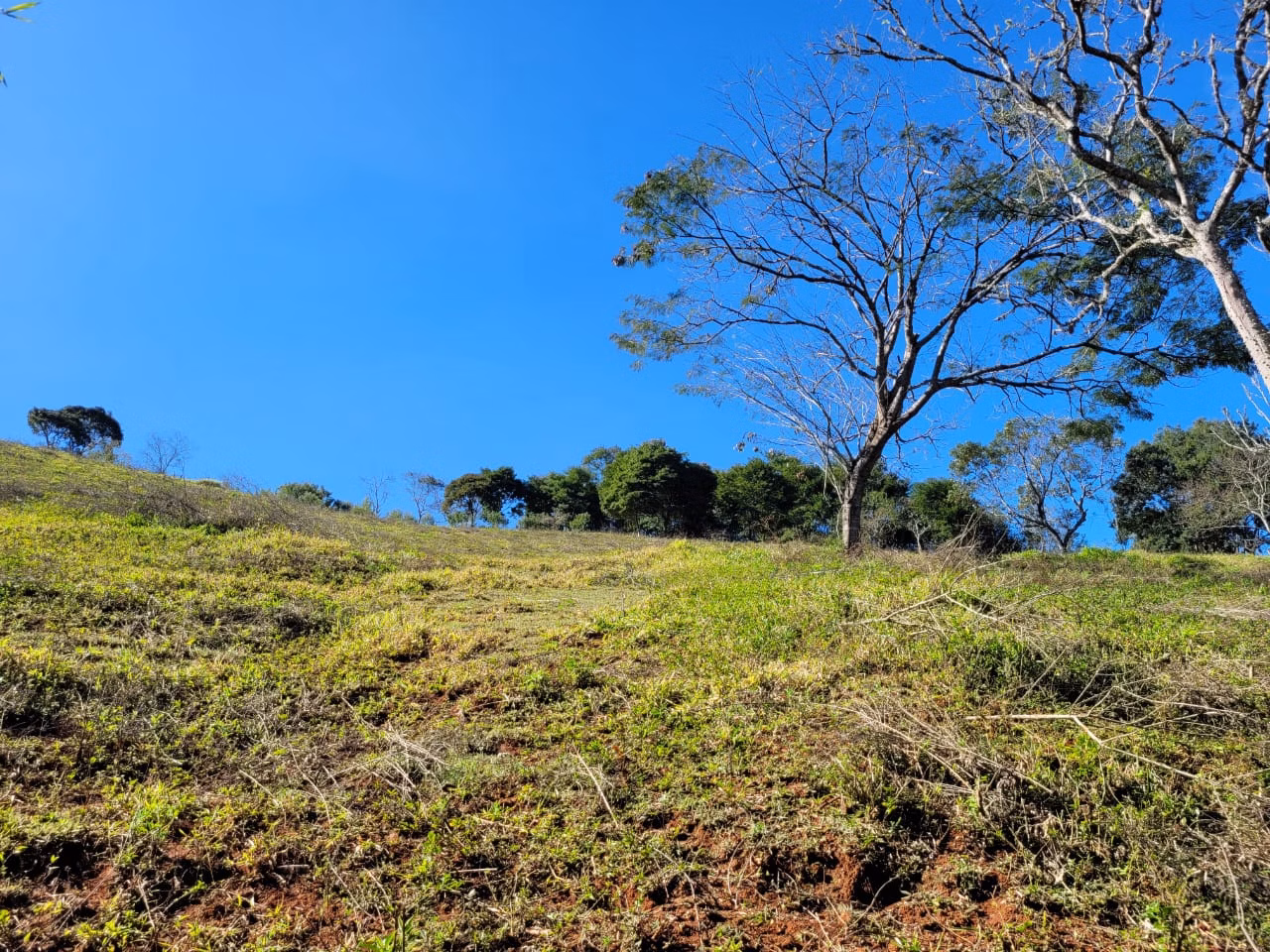 Terreno de 2 ha em Santo Antônio do Pinhal, SP
