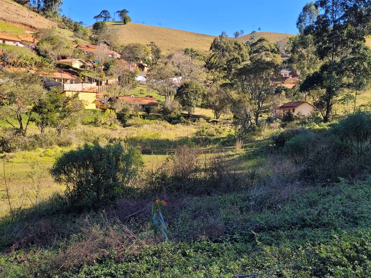 Terreno de 2 ha em Santo Antônio do Pinhal, SP