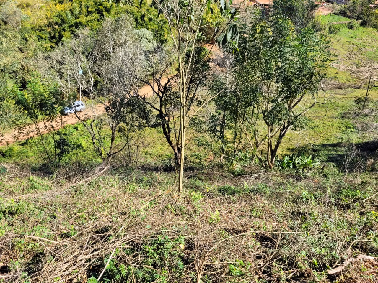 Terreno de 2 ha em Santo Antônio do Pinhal, SP