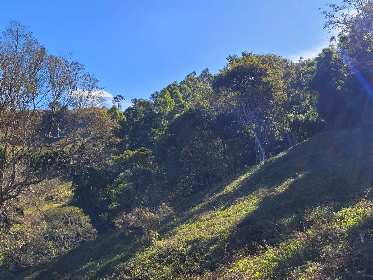 Terreno de 2 ha em Santo Antônio do Pinhal, SP