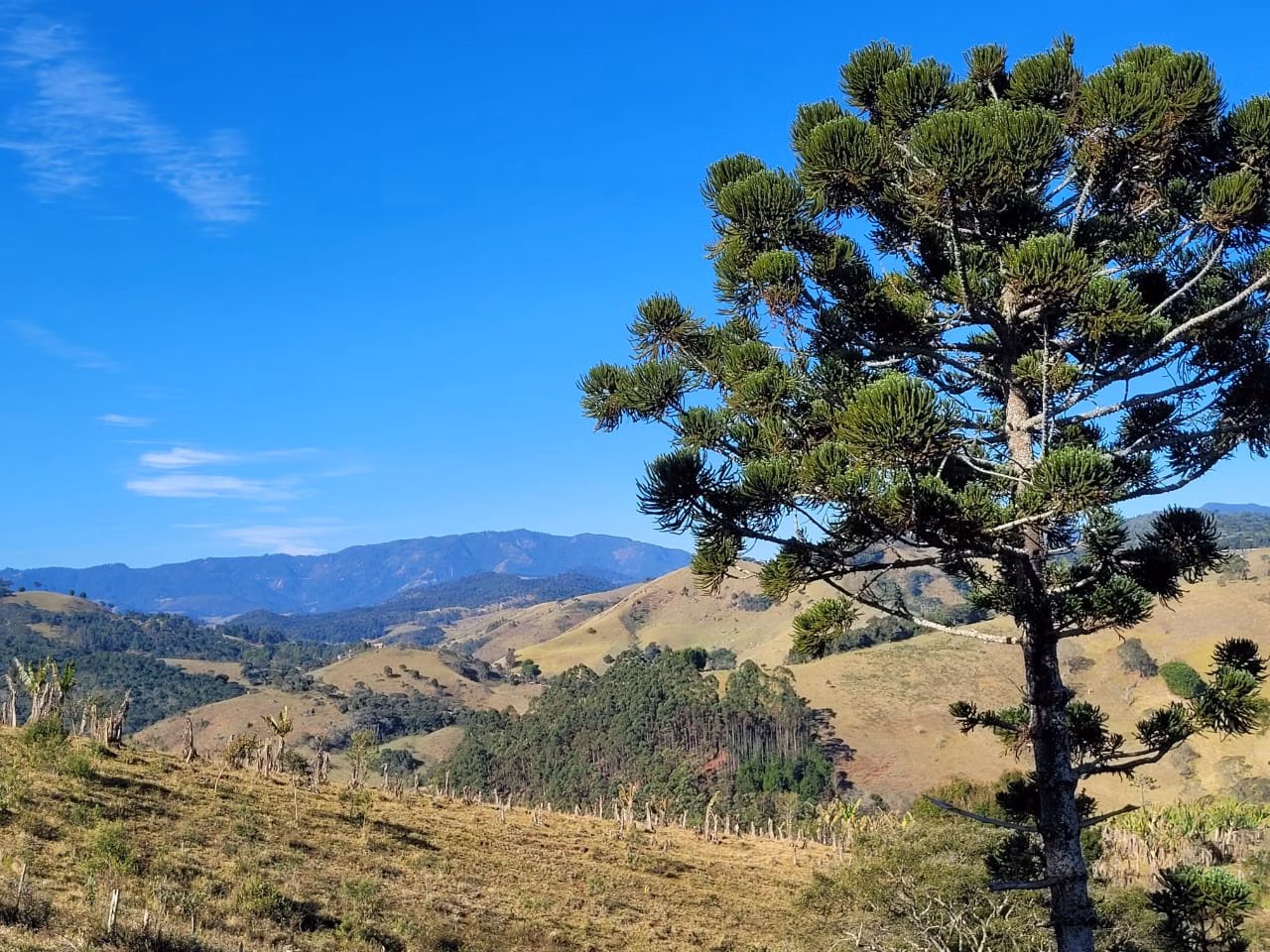 Terreno de 2 ha em Santo Antônio do Pinhal, SP
