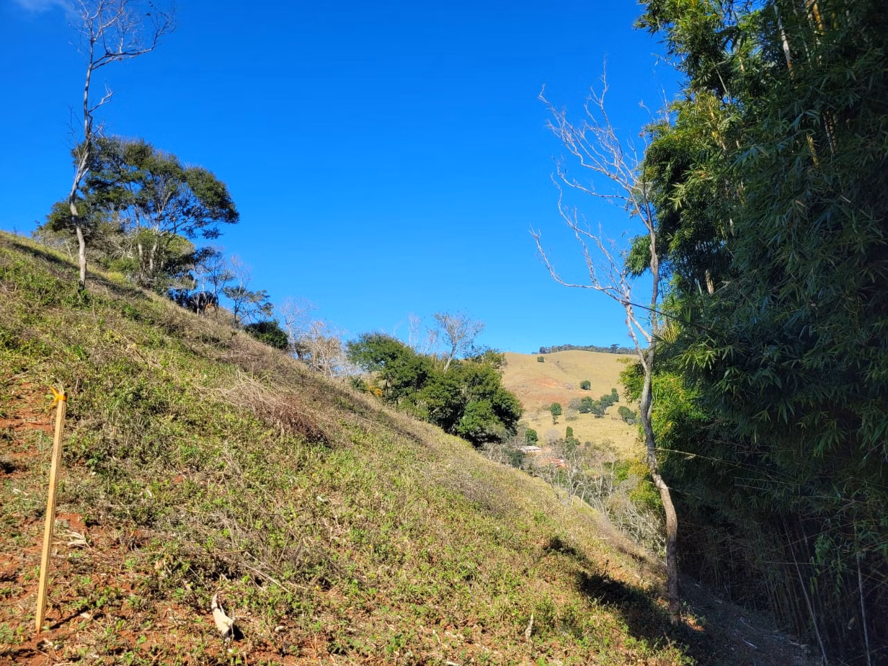 Terreno de 2 ha em Santo Antônio do Pinhal, SP