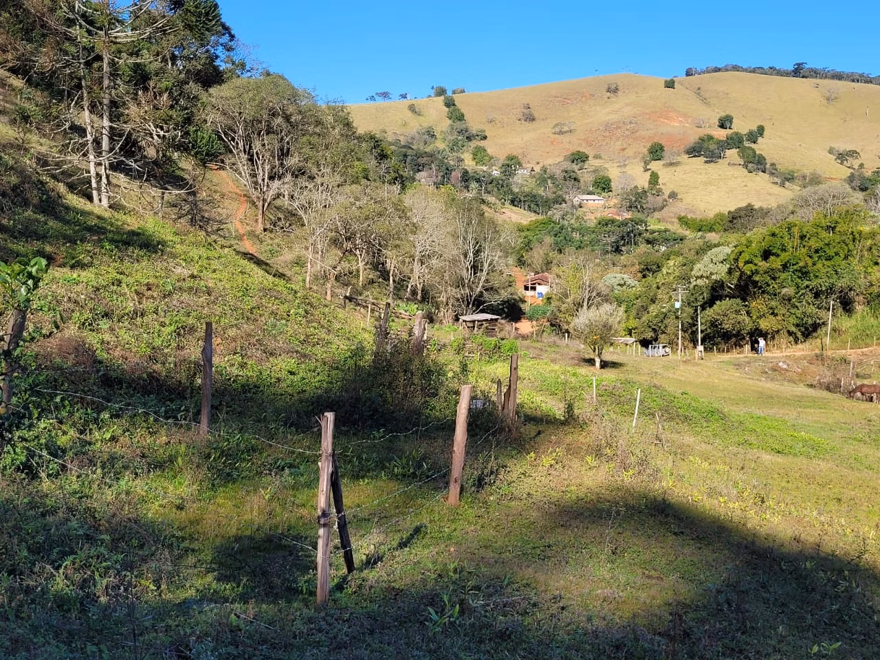 Terreno de 2 ha em Santo Antônio do Pinhal, SP